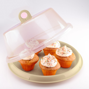 Alternative view of Cake Container