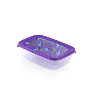 Frutto Food Container -500ML