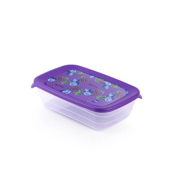 Frutto Food Container -500ML