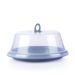 Cake Container