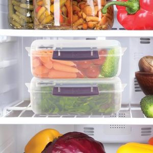 Alternative view of Magnum Food Container